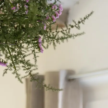 Accanto A Osteria Francescana - Terrazzo - Car Pass